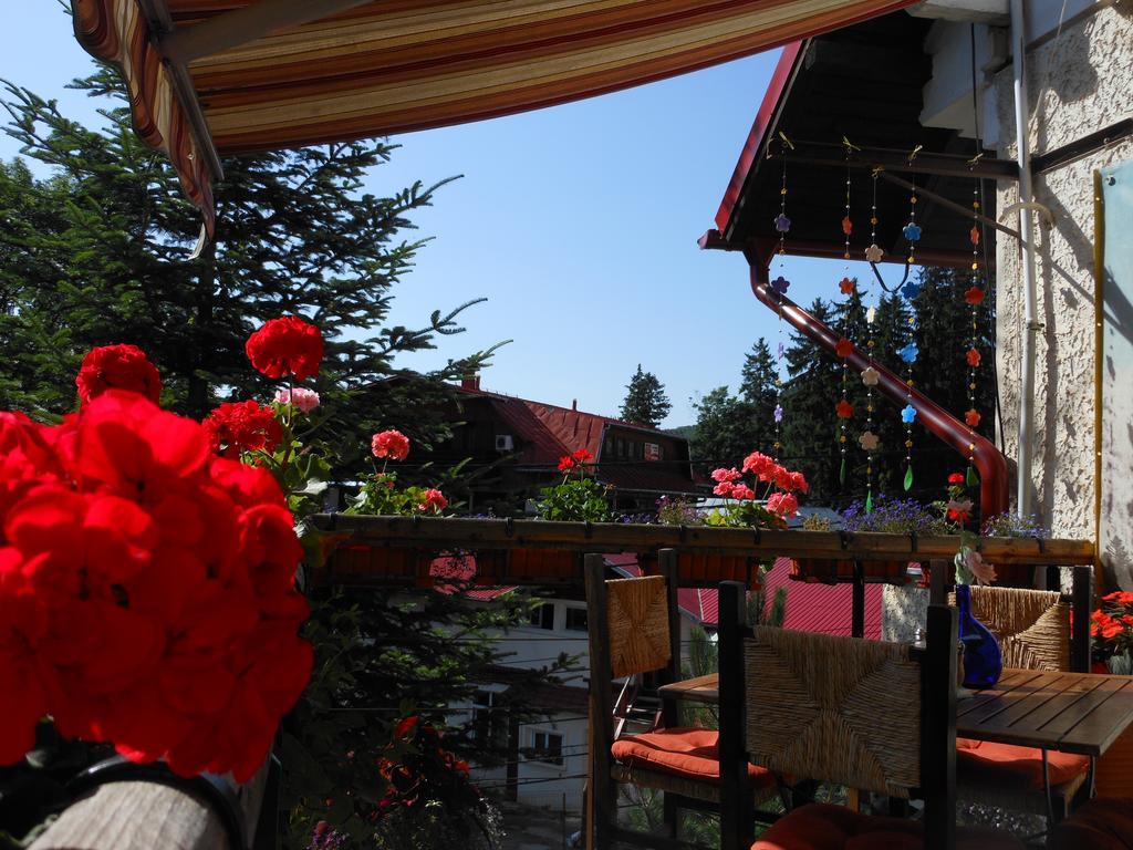 Bistro-Pension La Teleferic Sinaia Buitenkant foto