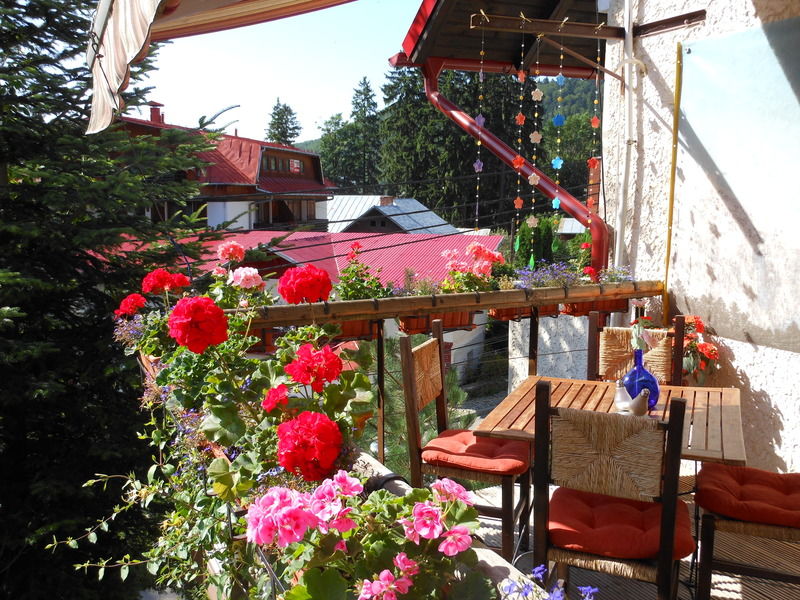 Bistro-Pension La Teleferic Sinaia Buitenkant foto