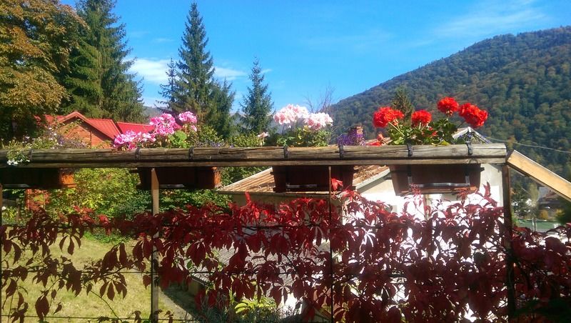 Bistro-Pension La Teleferic Sinaia Buitenkant foto