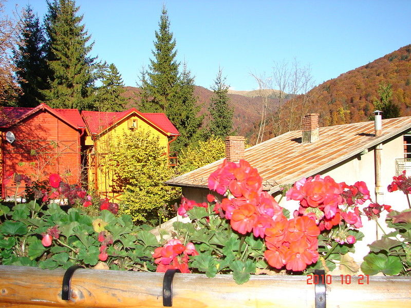 Bistro-Pension La Teleferic Sinaia Buitenkant foto
