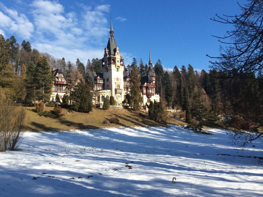 Bistro-Pension La Teleferic Sinaia Buitenkant foto