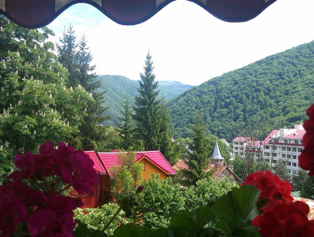 Bistro-Pension La Teleferic Sinaia Buitenkant foto